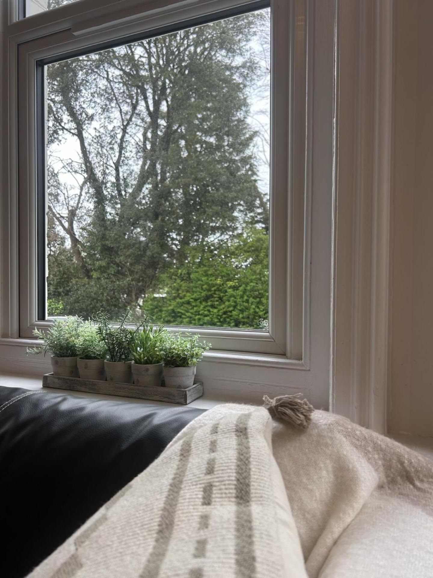 Treetop View Cosy Getaway In Eastbourne, Free Parking, Short And Long Stays, Værelse billede